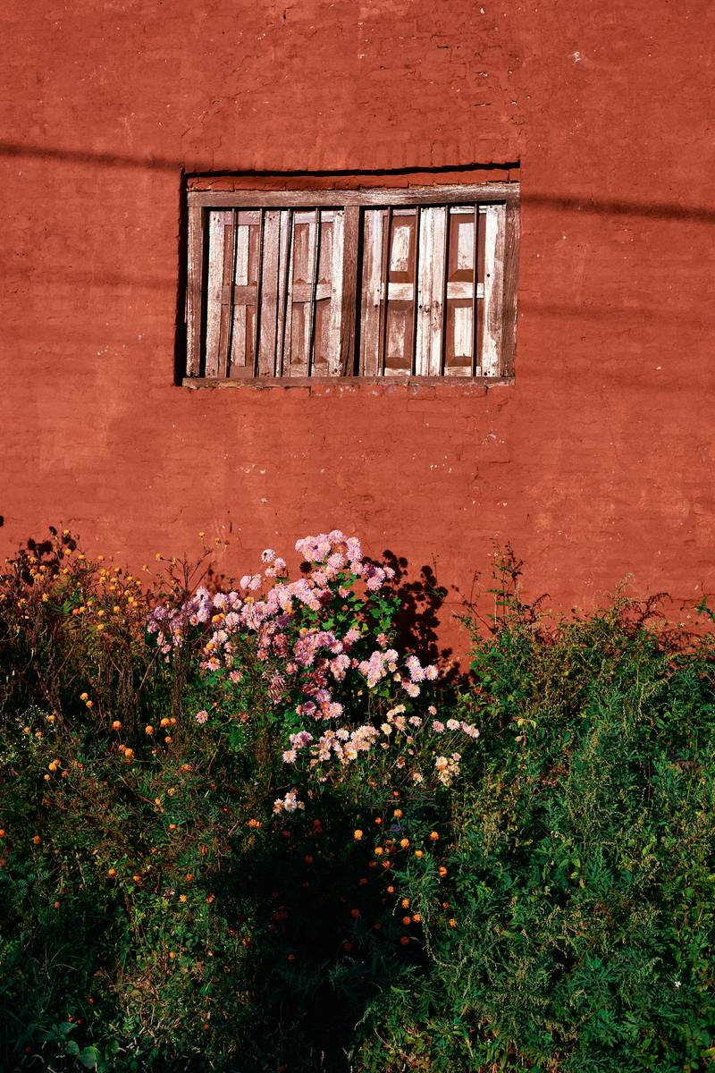 Image by Evangelos Tzemis