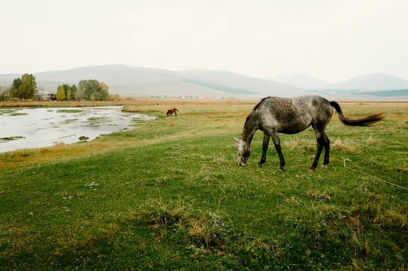 The vast landscapes of Georgia, framed with clarity and depth