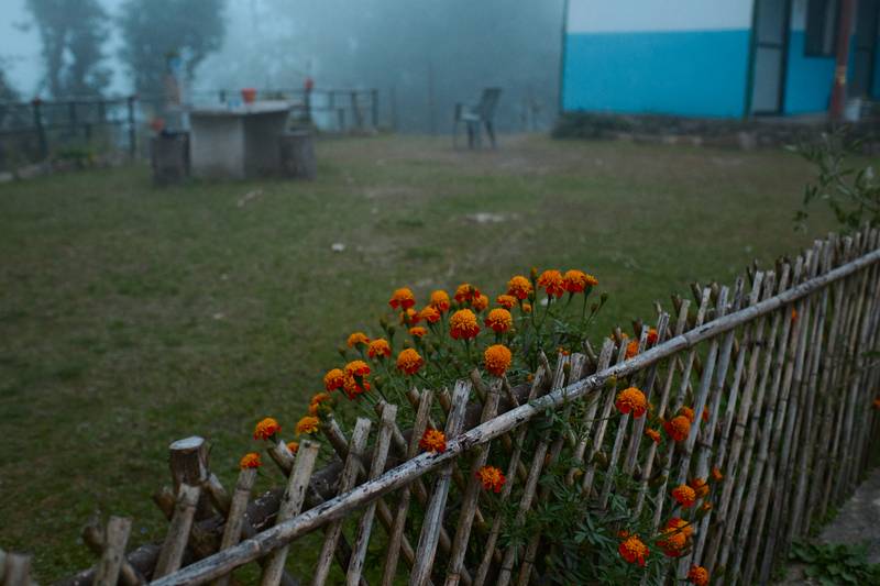 Image by Evangelos Tzemis