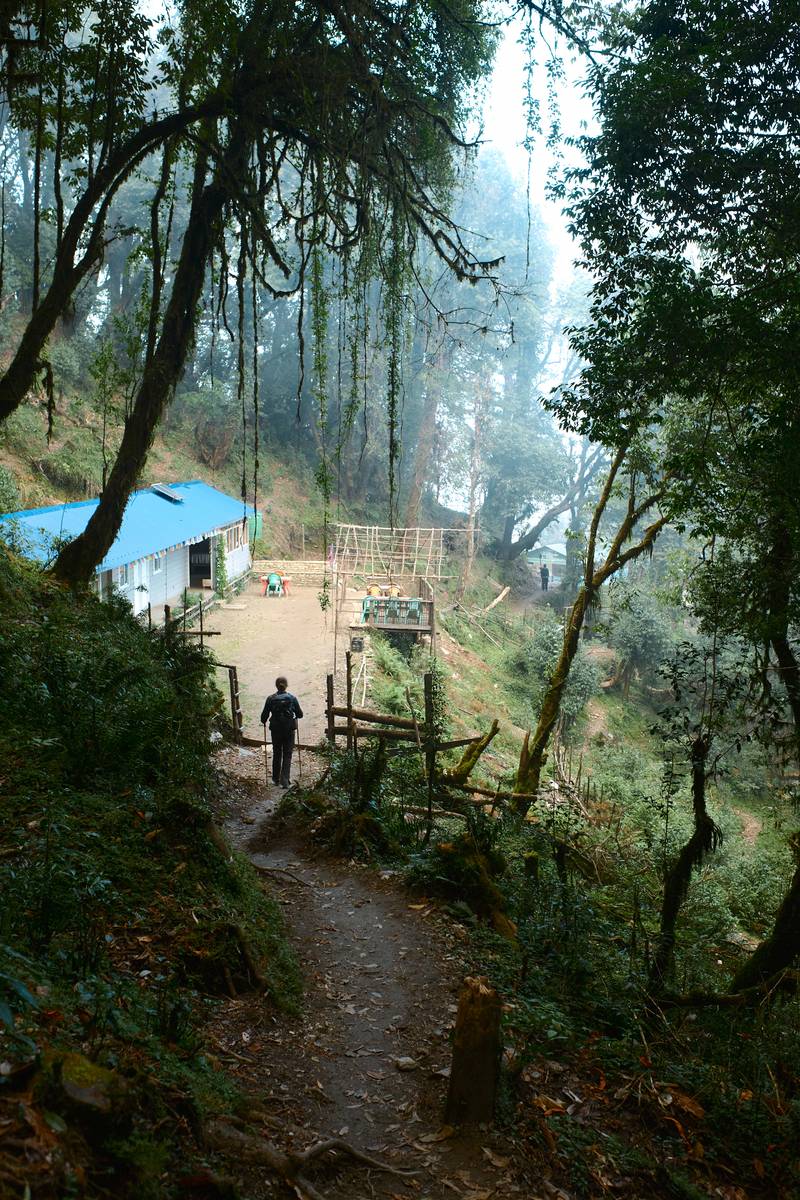 Image by Evangelos Tzemis