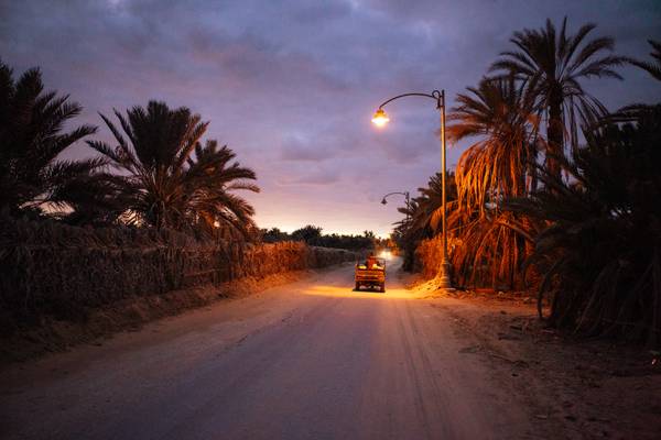 The Oasis - Resilience in Isolation - Photo Series